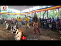 Download Lagu Jathilan klasik Turonggo tresno manuggal Nglekong kidul sumbberjo tempel pentas di mliting banyurejo