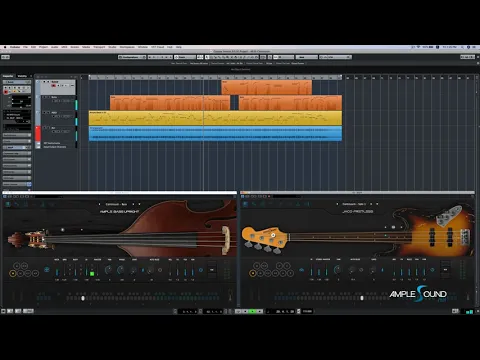 Ample Bass Jaco Fretless product video