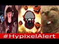 NotNico FACE REVEAL Spifey Sells 7000 Cookie JackSucksAtLife - TheOriginalAce