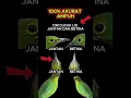Download Lagu ciri ciri cucak ijo jantan dan betina 100% akurat #cucakijo Download Lagu ciri ciri cucak ijo jantan dan betina 100% akurat #cucakijo
