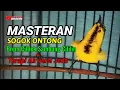 Download Lagu MASTER TERAPI SOGON BREM CIBLEK SAMBUNG CILILIN