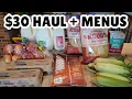 Weekly Budget Grocery Haul Menus for our Family of 6