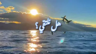انشوده هل نلتقي   دندنها
