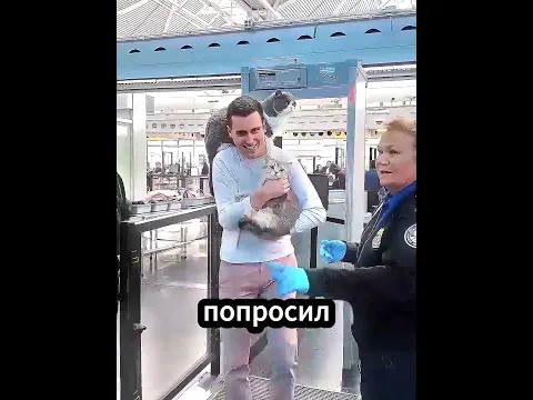 Отдельное Место Для Кошек 😅❤️
