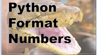 120-Python - Formatting Numbers