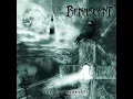 Through Darkness - Renascent