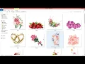 Free Flower PNG Pack