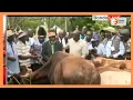 Luhya Council Elders present bulls at The Late Raila Odinga’s Bondo home