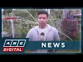 LOOK: Impact of super typhoon Uwan on Tinambac, Camarines Sur | ANC