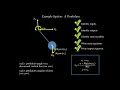 System Dynamics Tutorial 5 - Introduction to Modelica