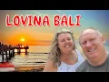 Hire a Car in Bali Our Crazy Ubud to Lovina Adventure Bali Vlog 11