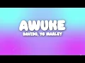 Davido, YG Marley - Awuke (Lyrics)