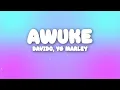Davido, YG Marley - Awuke (Lyrics)
