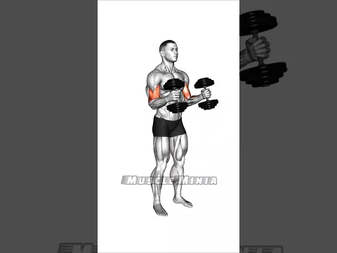 💥 Build Bigger Biceps Fast! 💪
