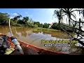 Download Lagu 2 hari mancing sungai dan rawa menelusuri setiap spot yang belum terjamah pemancing