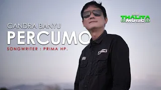 Download Candra Banyu - Percumo (Official Music Video) MP3