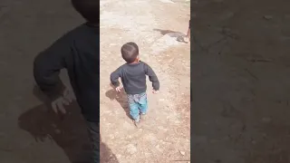 زلمة لمن دايخ 