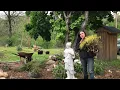 Lemon Thread False Cypress from Campbell s Freedom Farm