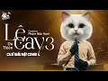 Lagu LỆ CAY 3 - Du Thiên x Phạm Bảo Nam | Nam Ca Sĩ Giấu Mặt Cover | Ừ Thì Anh Chọn Yêu Thương Em Đấy...