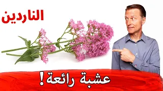 عشبة تقضي على الاكتئاب والقلق ولها فوائد قد لا يعلمها الكثيرون 