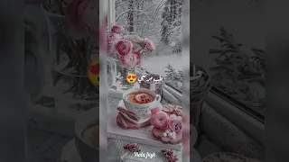 جابلي ورد جاب بوكيه Shortvideo محتوي رائج اشتركوا 