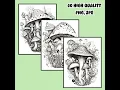 Zentangle Mushrooms Nature Fungi Coloring Pages