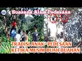 Download Lagu Panen Buah Nangka bersama Bocil | Suasana Kampung Sunda