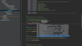 JSON Support in Java EE 8 with Dmitry Kornilov m0mus