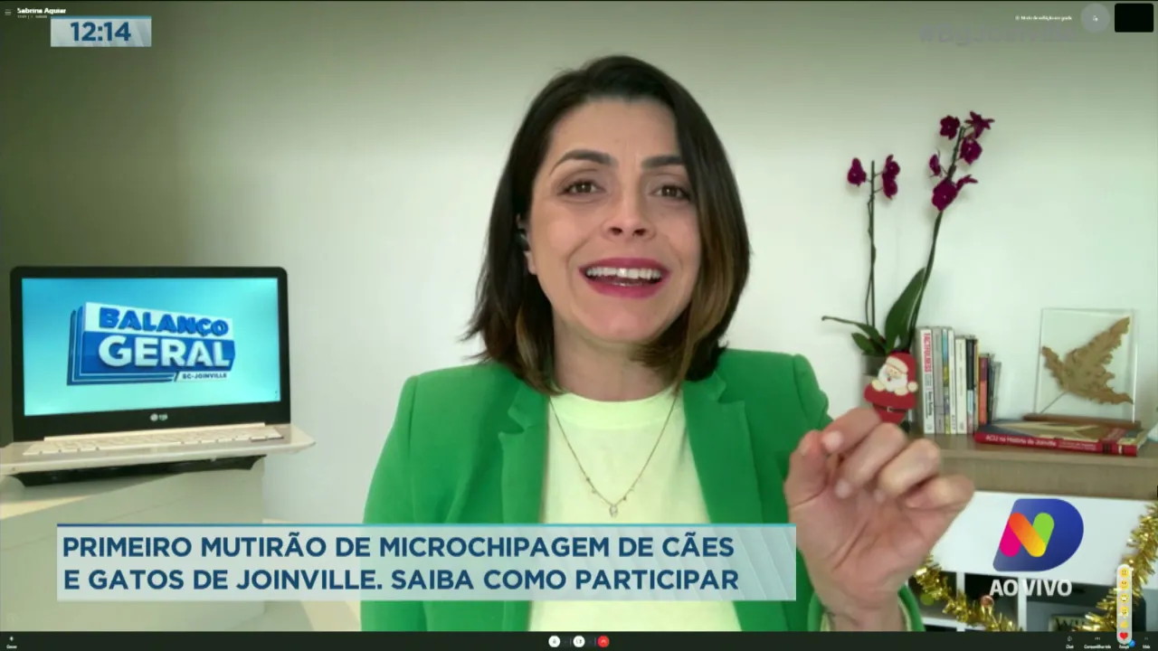 Primeiro mutirão de microchipagem de cães e gatos de Joinville. Saiba como participar
