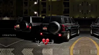 تركته يروح م ودعته   دندنها