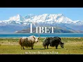 Download Lagu Tibet 4K - Scenic Relaxation Film With Calming Music