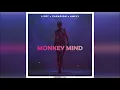 LIZOT & Paradigm feat. AMELY - Monkey Mind (Extended Radio Mix)