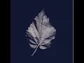 Ordinary World - Joy Williams
