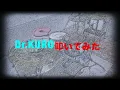 【ザ・ヴィーナス】キッスは目にして【Dr.KURO叩いてみた】