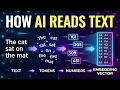 How AI Converts Words Into Numbers Tokens Embeddings Explained
