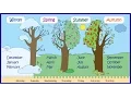 Python Exercise - Seasons and months