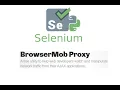 Selenium Browsermob Proxy