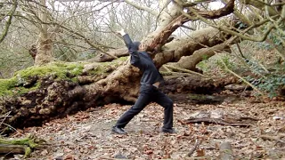 Austin Goh Human Energy Level 2 - Connecting with Nature [FULL VIDEO] [2010]