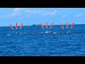 Download Lagu Akhirnya‼️harus sabar jika menghadapi kawanan ikan ini