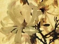 Download Lagu How The Blossoms are Falling, sung by Elektra Women's Choir