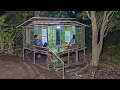 Lagu Camping hujan deras || 2 hari membangun shelter yang indah bersama istri di hutan belan tarah