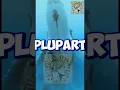 Channel