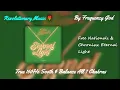 Free Nationals & Chronixx - Eternal Light [True 160Hz Sooth & Balance All 7 Chakras]