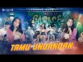 Download Lagu Dini Kurnia - Tamu Undangan (Official Live Music Lakone Band)