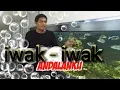 Download Lagu Koleksi Ikan Predator Lucky Hakim