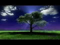 ¡Purifica Tus Ambientes! 🎼 MÚSICA PARA ELIMINAR LA ENERGÍA NEGATIVA DEL HOGAR  🏡Solfeggio 417 Hz ✨