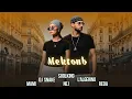 Download Lagu Soolking ft. Dj Snake, L'Algérino, Cheb Mami, Nej, Reda Taliani - Mektoub (Official Video)