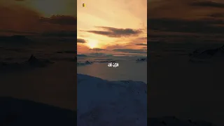 The Blessing Arabic Version البركة 