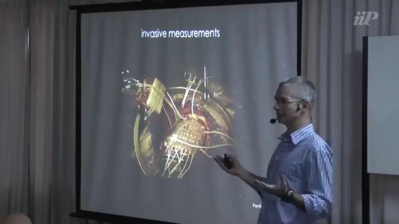 Encoding and decoding information in functional MRI - Draulio de Araujo