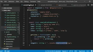 Angular 7 - Understanding Data Binding